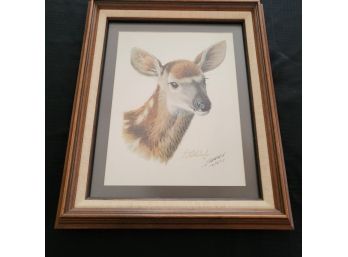 Guy Coheleach Signed And Dated Lithograph Young Doe/deer Print.