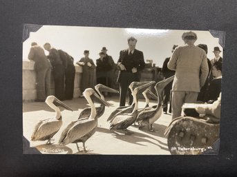 Vintage Photographs & Postcards In A Photo Album