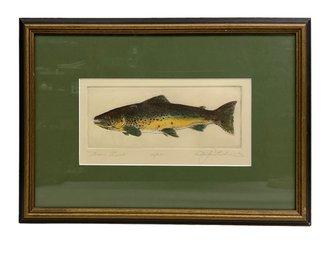 Signed Etching Of Brown Trout Indistinctly Signed Alastair (?)