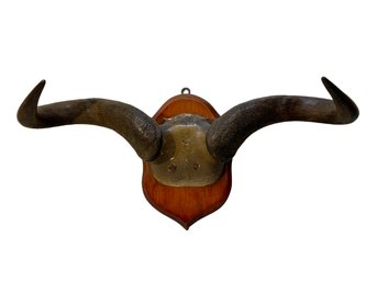 Pair Of Antique Mounted Wildebeest Horns