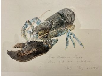 Signed Vintage Watercolor Of Blue Lobster