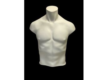 Full Size T-Shirt Male Mannequin Torso  Izod