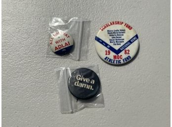 Vintage Political Pins And A Humor Pin