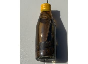 Preserved Cobra Snake In A Bottle
