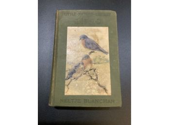 1926 Birds Worth Knowing Book