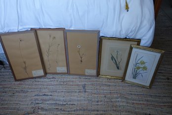Five Framed Floral Pieces.