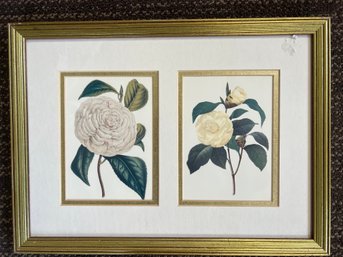 Art: Carnations, Framed