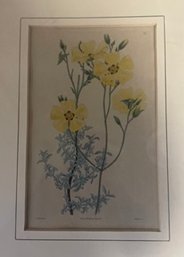 Art: Yellow Flower Print (GP)