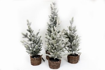 Faux Frosted Christmas Trees By Threshold