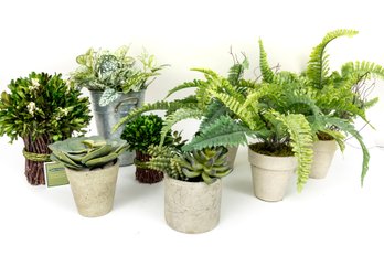 Collection Of Faux Ferns