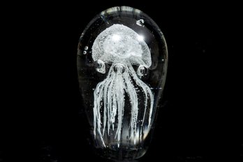 Glass Jellyfish Display