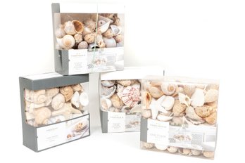 Four Boxes Of Coastal Decor / Unscented Seashell Vase Fillers By Threshold (New)