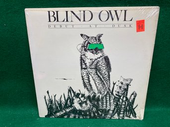 Blind Owl. Debut At Dusk On 1987 Raptor Records. Sealed. Prog. Rock.
