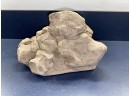 Coryphodon Dinosaur Foot Fossil Plaster Cast. Pictures Not Included.