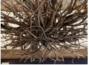 An Incredible Bespoke Natural Branch Chandelier 4/4