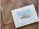 A Sea Turtle Print And Glass Frame