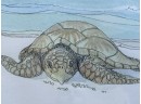 A Sea Turtle Print And Glass Frame