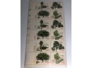 1978 15 Cent  American Trees - Mint Never Hinged - Plate Block Of 12