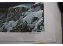 Robert Bateman At The Cliff S/n Ltd Ed $325 At Prints.com