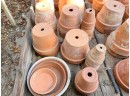 A Huge Collection Of Terracotta Pots - A Gardener's Dream!
