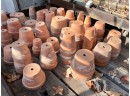 A Huge Collection Of Terracotta Pots - A Gardener's Dream!