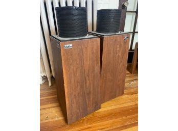 Ohm Walsh 2 Speakers