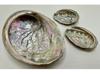 3 Natural Abalone Shells
