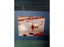 Four Matted Photos Of Water Fowl  (Geese Mats Signed By Hermine Duthie) Riverside, CT & Oregon   CV1