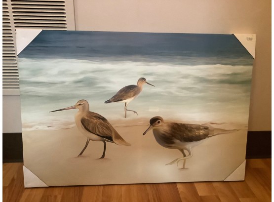 Birds On The Beach Print #50