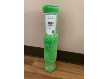 2X3 Green Accent Rug NEW