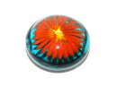 Stunning Colorful Dandelion Glass Paper Weight