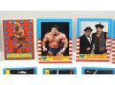 1987 Topps Titan Sports WWF Wrestling Trading Cards Hulk Hogan & More