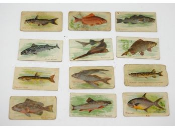 Piedmont & Sweet Caporal Fish Types Tobacco Cards