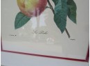 Pair Of Langlois Cherry And Peach Fruit Botanical Prints