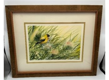 Beautiful Watercolor ~Signed P.J. O’Callaghan 82 ~ Gold Finch