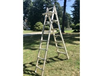 Sears Convertible Ladder
