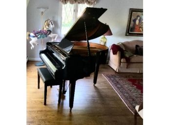 Gorgeous Samick Baby Grand Piano ~