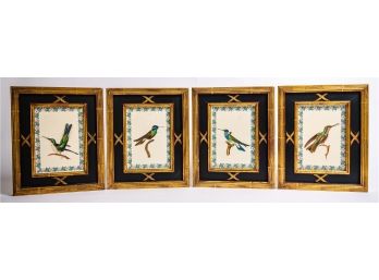 Four Framed Bird Pictures