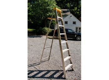 Commercial Grade Werner Aluminum Ladder