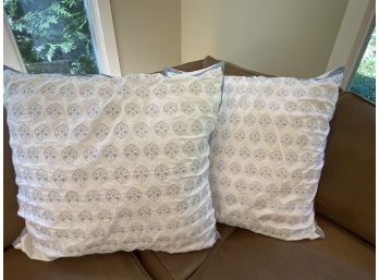 Pair Of Large Accent Pillows
