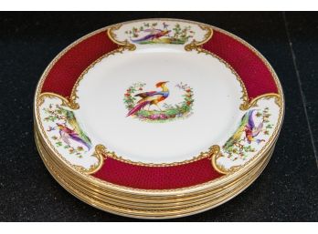 Set Of 8 Myott Staffordshire English Plates - Chelsea Bird Red Pattern