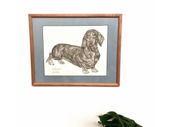 Dachshund Dog Print - Sketch With Ink By G Marlo Allen 175/2000