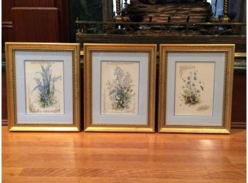 Set Of Three Botanical Print