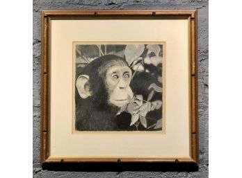 Incredibly Well Done Original Pastel Painting Of Chimpanzee By Anthony Santomauro (NY/CT Artist)