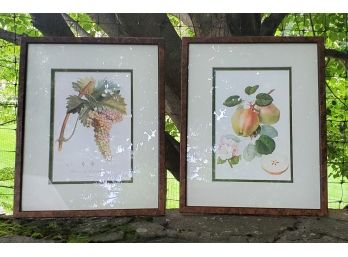 Pair Of Vintage Matted Fruit Prints In Beautiful Burlwood Frames