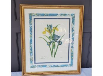 Vintage Professional Framed Botanical Colorful Floral Blue & Yellow Iris Print
