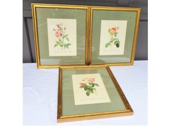 Set Of Three Professionally Framed Matted Floral Rose Wall Art Prints