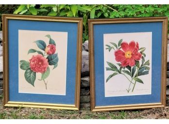 Pretty Pair Of Professionally Matted And Framed Floral Botanical Prints
