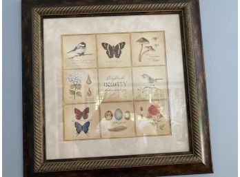 Wood Framed Pair Of Nature Prints
