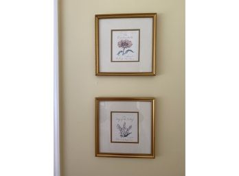 Group Of 4 Gold Framed Floral Prints